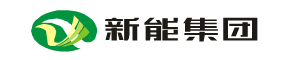 新疆新能集团有限责任公司